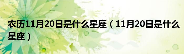 农历11月20日是什么星座（11月20日是什么星座）