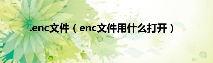 .enc文件（enc文件用什么打开）