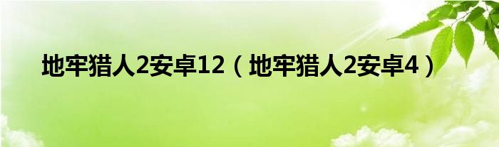 地牢猎人2安卓12（地牢猎人2安卓4）