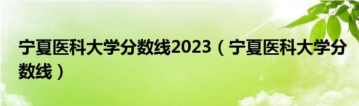 宁夏医科大学分数线2023（宁夏医科大学分数线）