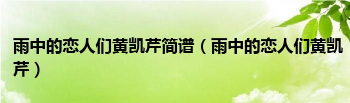 雨中的恋人们黄凯芹简谱（雨中的恋人们黄凯芹）