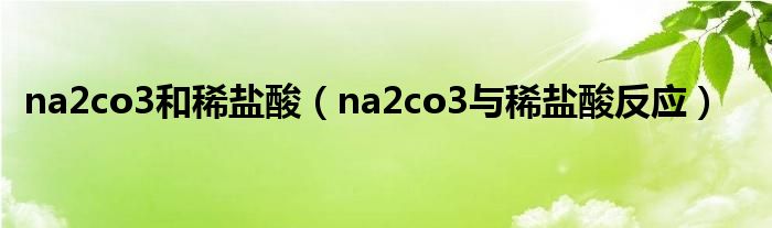 na2co3和稀盐酸（na2co3与稀盐酸反应）