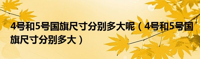 4号和5号国旗尺寸分别多大呢（4号和5号国旗尺寸分别多大）