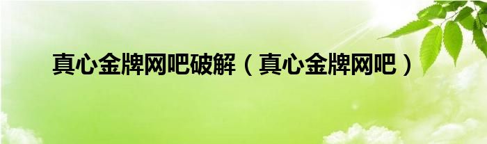 真心金牌网吧破解（真心金牌网吧）