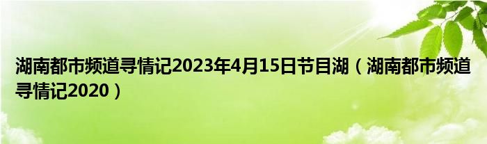 湖南都市频道寻情记2023年4月15日节目湖（湖南都市频道寻情记2020）