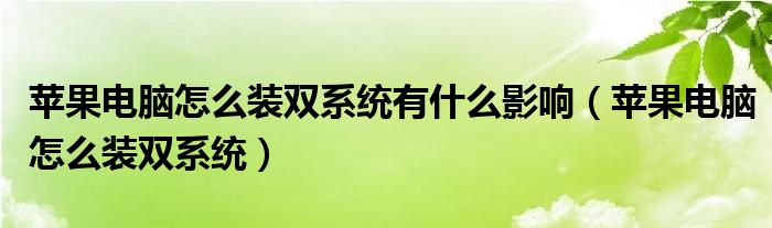 苹果电脑怎么装双系统有什么影响（苹果电脑怎么装双系统）