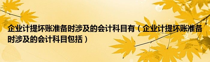 企业计提坏账准备时涉及的会计科目有（企业计提坏账准备时涉及的会计科目包括）