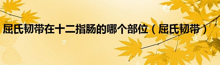 屈氏韧带在十二指肠的哪个部位（屈氏韧带）