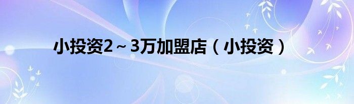 小投资2～3万加盟店（小投资）