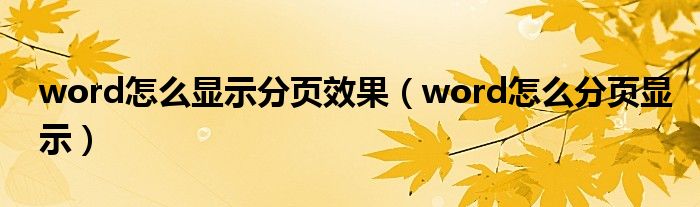 word怎么显示分页效果（word怎么分页显示）