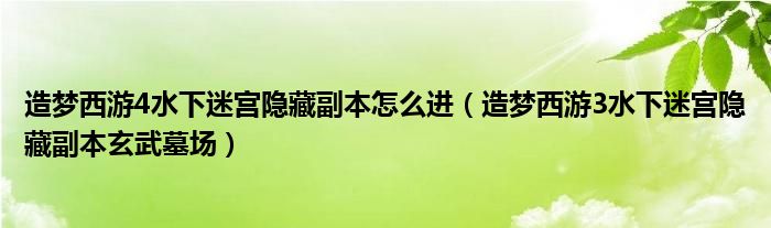 造梦西游4水下迷宫隐藏副本怎么进（造梦西游3水下迷宫隐藏副本玄武墓场）