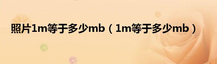 照片1m等于多少mb（1m等于多少mb）