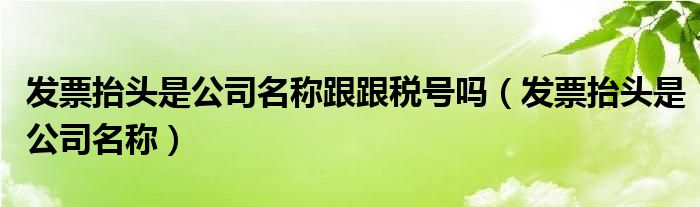 发票抬头是公司名称跟跟税号吗（发票抬头是公司名称）