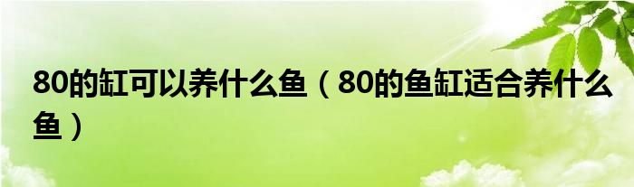 80的缸可以养什么鱼（80的鱼缸适合养什么鱼）