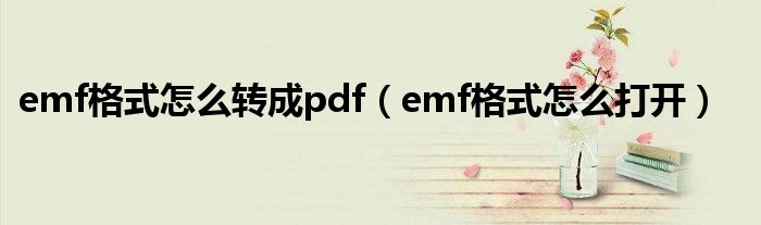 emf格式怎么转成pdf（emf格式怎么打开）