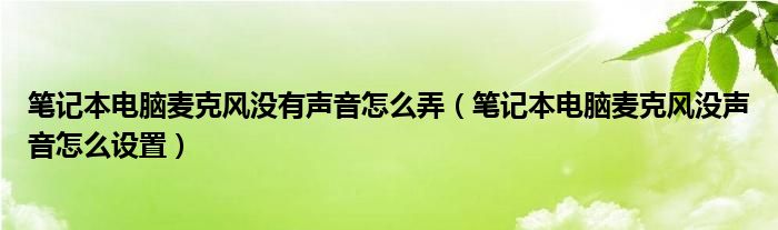 笔记本电脑麦克风没有声音怎么弄（笔记本电脑麦克风没声音怎么设置）