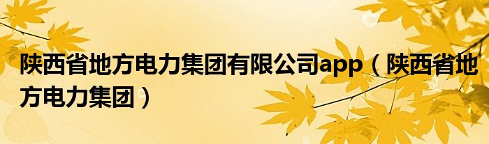 陕西省地方电力集团有限公司app（陕西省地方电力集团）