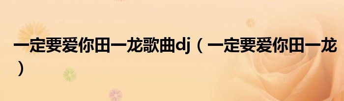 一定要爱你田一龙歌曲dj（一定要爱你田一龙）