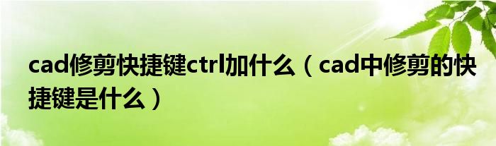 cad修剪快捷键ctrl加什么（cad中修剪的快捷键是什么）