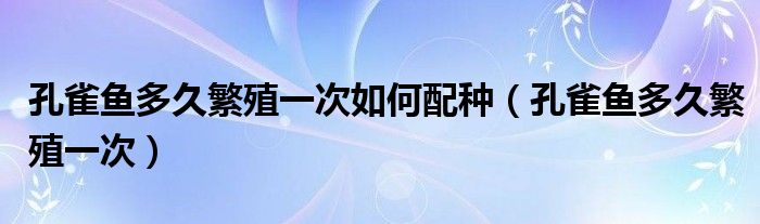 孔雀鱼多久繁殖一次如何配种（孔雀鱼多久繁殖一次）