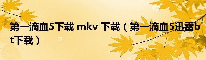 第一滴血5下载 mkv 下载（第一滴血5迅雷bt下载）