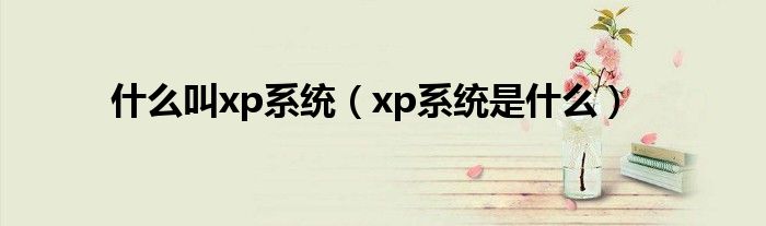 什么叫xp系统（xp系统是什么）