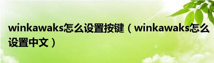 winkawaks怎么设置按键（winkawaks怎么设置中文）