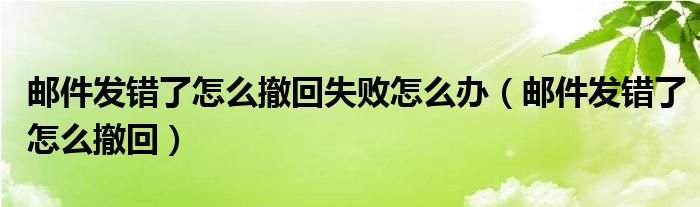 邮件发错了怎么撤回失败怎么办（邮件发错了怎么撤回）