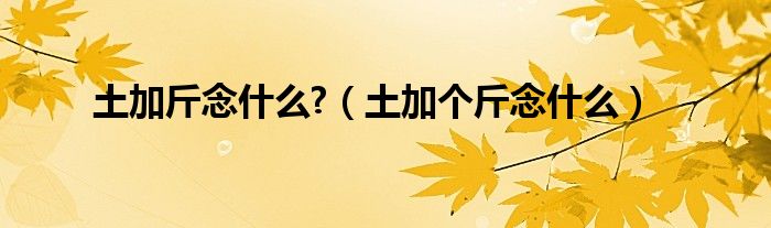 土加斤念什么?（土加个斤念什么）