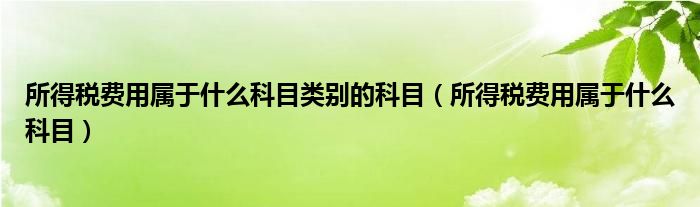 所得税费用属于什么科目类别的科目（所得税费用属于什么科目）