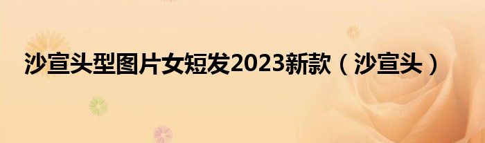 沙宣头型图片女短发2023新款（沙宣头）