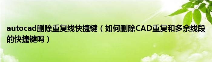 autocad删除重复线快捷键（如何删除CAD重复和多余线段的快捷键吗）