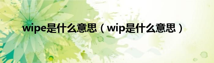 wipe是什么意思（wip是什么意思）