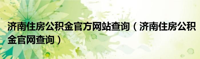 济南住房公积金官方网站查询（济南住房公积金官网查询）