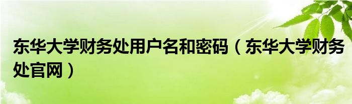 东华大学财务处用户名和密码（东华大学财务处官网）