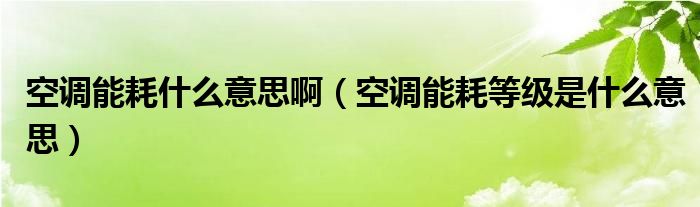 空调能耗什么意思啊（空调能耗等级是什么意思）