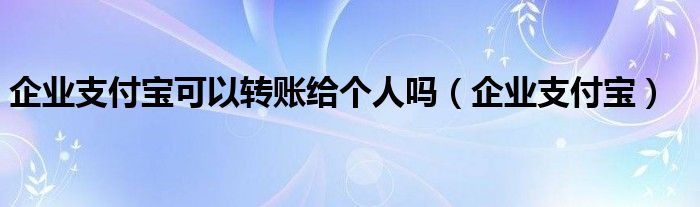 企业支付宝可以转账给个人吗（企业支付宝）