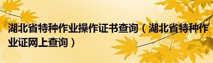 湖北省特种作业操作证书查询（湖北省特种作业证网上查询）