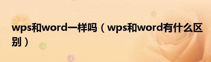 wps和word一样吗（wps和word有什么区别）