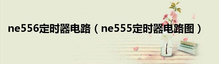 ne556定时器电路（ne555定时器电路图）