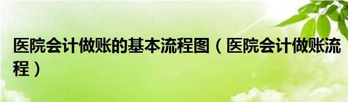 医院会计做账的基本流程图（医院会计做账流程）