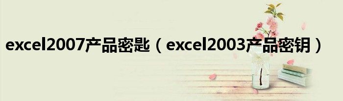 excel2007产品密匙（excel2003产品密钥）