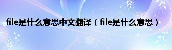 file是什么意思中文翻译（file是什么意思）