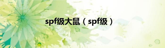 spf级大鼠（spf级）