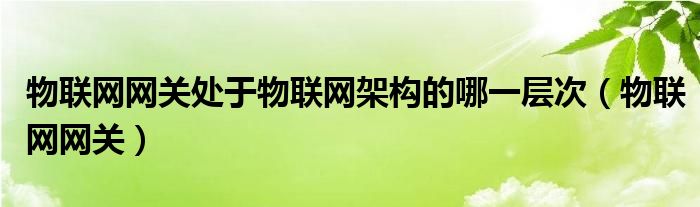 物联网网关处于物联网架构的哪一层次（物联网网关）