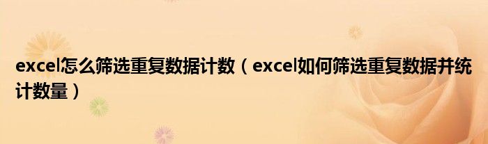 excel怎么筛选重复数据计数（excel如何筛选重复数据并统计数量）