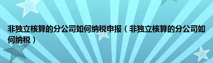 非独立核算的分公司如何纳税申报（非独立核算的分公司如何纳税）