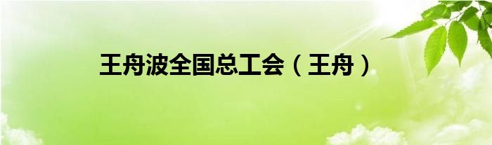 王舟波全国总工会（王舟）