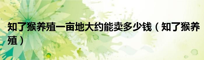 知了猴养殖一亩地大约能卖多少钱（知了猴养殖）