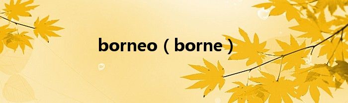 borneo（borne）